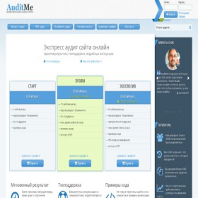 Скриншот главной страницы сайта auditme.ru