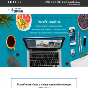 Скриншот главной страницы сайта bi-link.ru