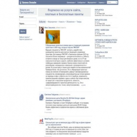 Скриншот главной страницы сайта bizon.ru