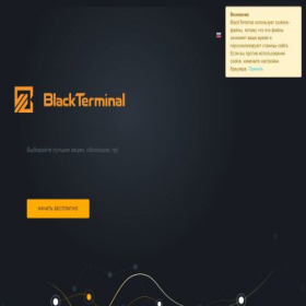 Скриншот главной страницы сайта blackterminal.ru