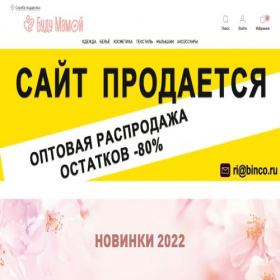 Скриншот главной страницы сайта budumamoy.ru