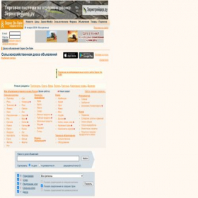 Скриншот главной страницы сайта doska.zol.ru