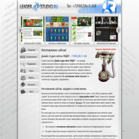 Скриншот главной страницы сайта leaderstudio.ru