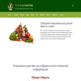 Скриншот главной страницы сайта moefermerstvo.ru