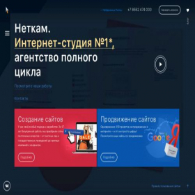 Скриншот главной страницы сайта netkam.ru