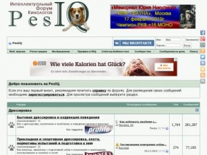 Скриншот главной страницы сайта pesiq.ru