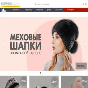 Скриншот главной страницы сайта pilnikov.ru