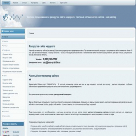 Скриншот главной страницы сайта seo-praktik.ru