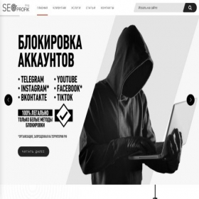 Скриншот главной страницы сайта seo-profik.ru