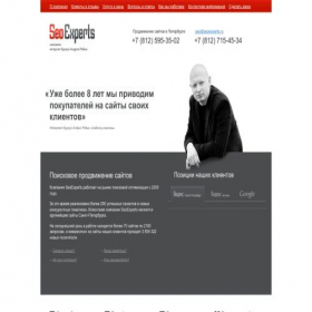 Скриншот главной страницы сайта seoexperts.ru