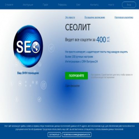 Скриншот главной страницы сайта seolit.ru