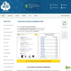 Скриншот главной страницы сайта skyde.ru