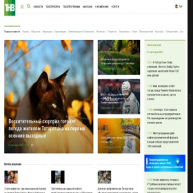 Скриншот главной страницы сайта tnv.ru