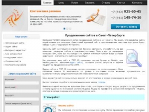 Скриншот главной страницы сайта topseo-spb.ru