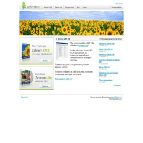 Скриншот главной страницы сайта zebrum.ru