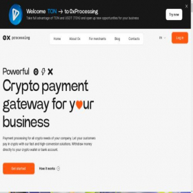 Скриншот главной страницы сайта 0xprocessing.com