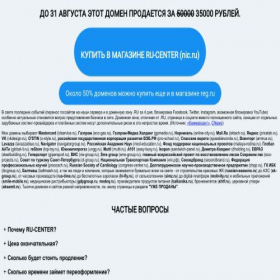 Скриншот главной страницы сайта 100shin.ru