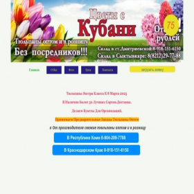 Скриншот главной страницы сайта 11flowers.ru