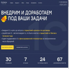 Скриншот главной страницы сайта 1c-gudwin.ru