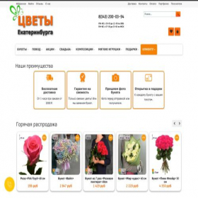 Скриншот главной страницы сайта 1ekt.ru