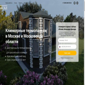 Скриншот главной страницы сайта 1profasad.ru