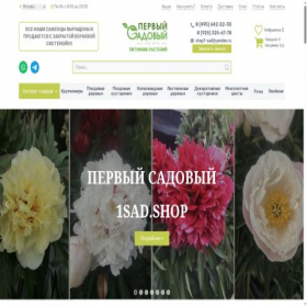 Скриншот главной страницы сайта 1sad.shop