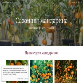 Скриншот главной страницы сайта 24agrosmark.site