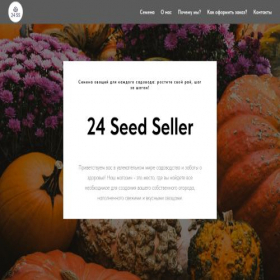 Скриншот главной страницы сайта 24seedseller.ru