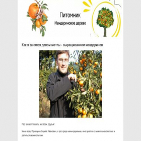 Скриншот главной страницы сайта 24tanjerins.site