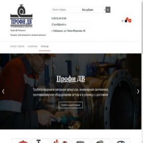 Скриншот главной страницы сайта 27profi.ru
