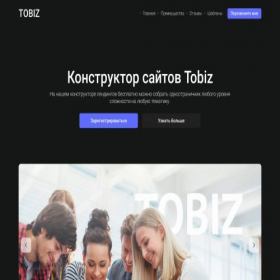 Скриншот главной страницы сайта 294942.lp.tobiz.net