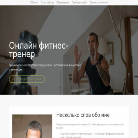 Скриншот главной страницы сайта 294964.lp.tobiz.net