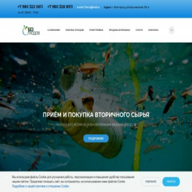 Скриншот главной страницы сайта 31eco.ru