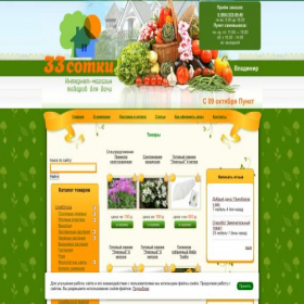 Скриншот главной страницы сайта 33sotky.ru
