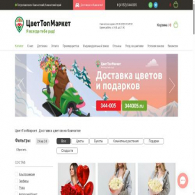 Скриншот главной страницы сайта 344005.ru