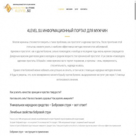 Скриншот главной страницы сайта 4level.su