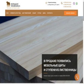 Скриншот главной страницы сайта 52les.ru