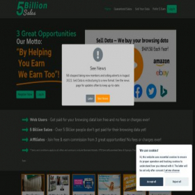 Скриншот главной страницы сайта 5billionsales.com