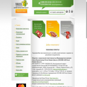 Скриншот главной страницы сайта 5element-mfo.ru