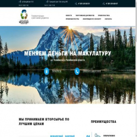 Скриншот главной страницы сайта 74megapolis.ru