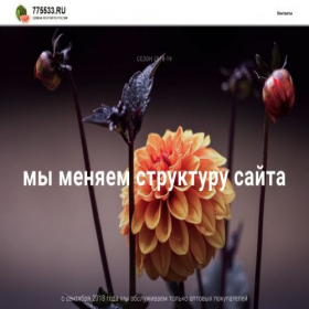Скриншот главной страницы сайта 775533.ru