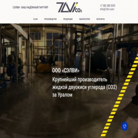Скриншот главной страницы сайта 7elvi.ru