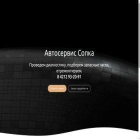 Скриншот главной страницы сайта a-sopka35.tb.ru