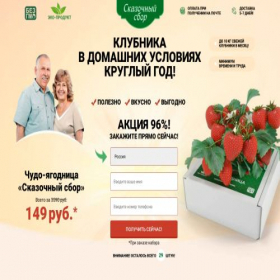 Скриншот главной страницы сайта a.low.miraclle-berry.com