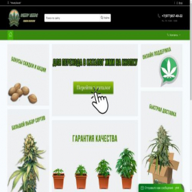 Скриншот главной страницы сайта a.weeds-seeds.world