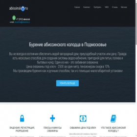 Скриншот главной страницы сайта abissinsk.ru