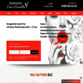 Скриншот главной страницы сайта academy-em.ru