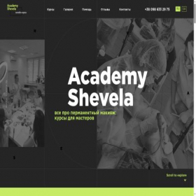 Скриншот главной страницы сайта academy-shevela.com