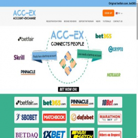 Скриншот главной страницы сайта acc-ex.com