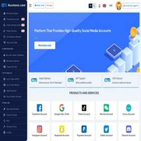 Скриншот главной страницы сайта accmoon.com